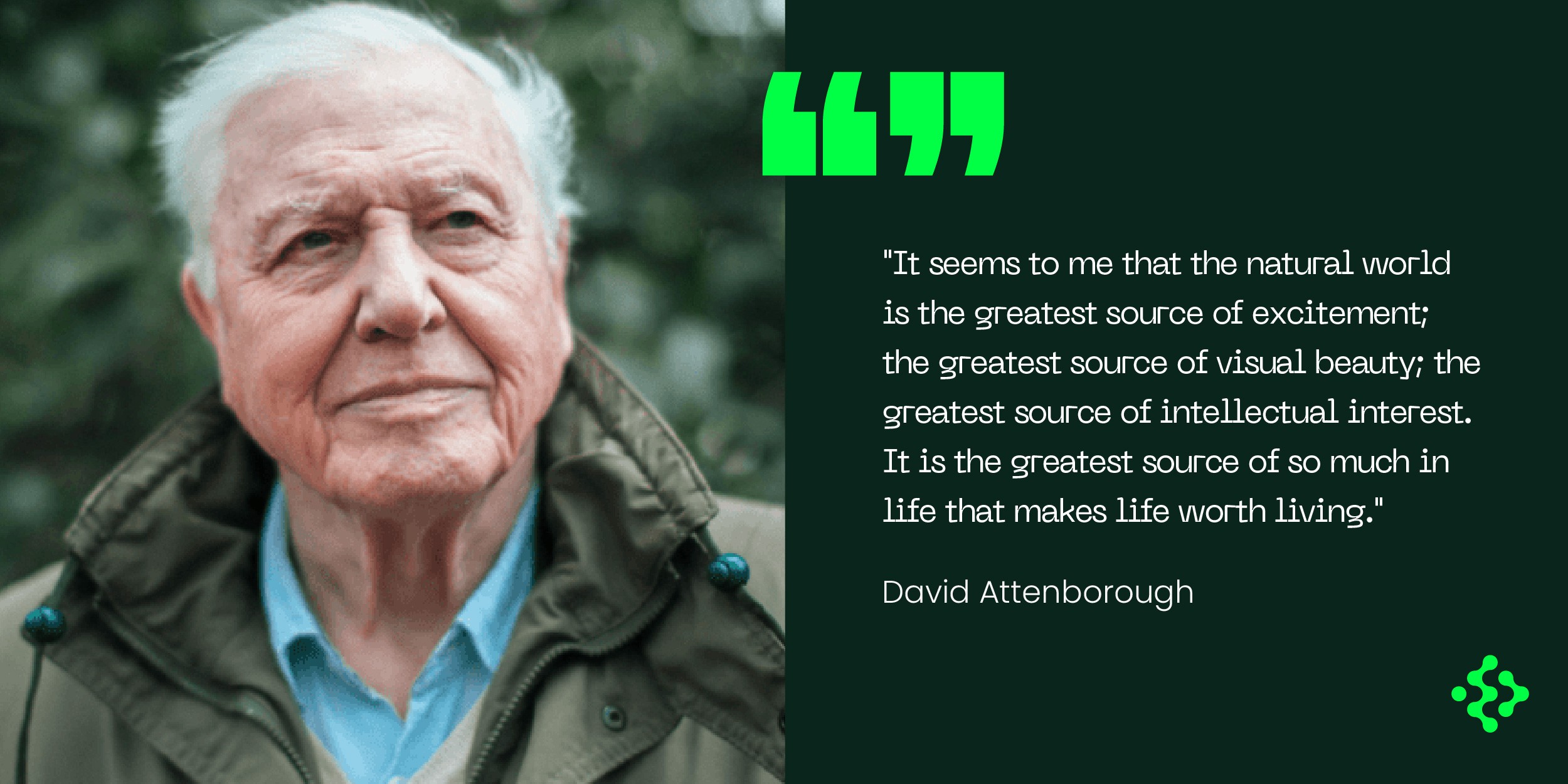 Oxychain @ David Attenborough view on nature