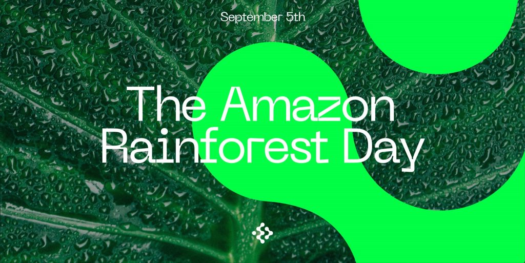 oxychain-the-amazon-rainforest-day